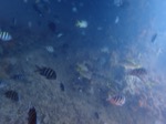 resIMG_20180715_144344_P7150864.JPG